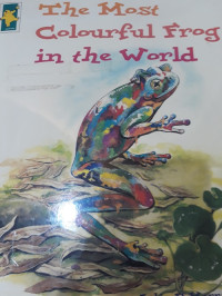 Image of The Most Colourful Frog in the World